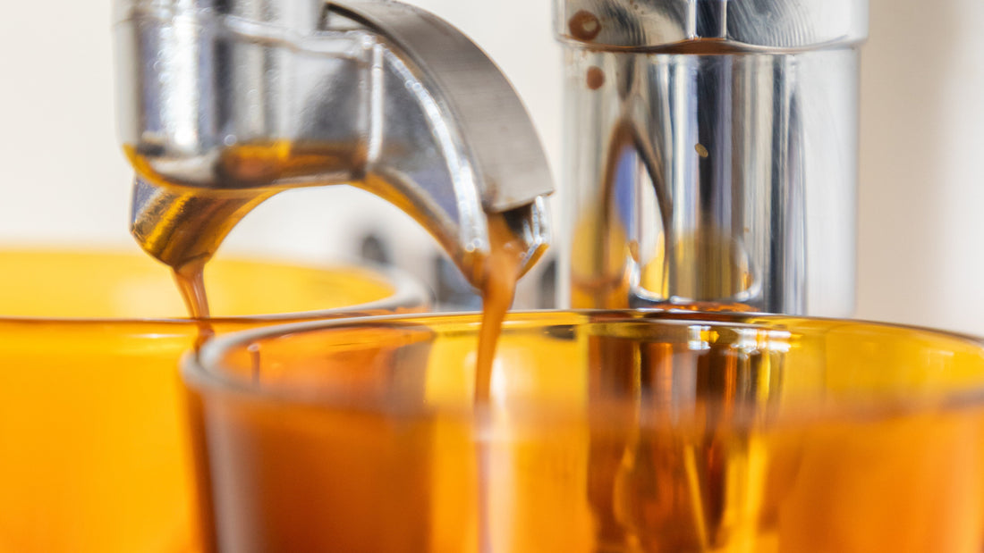 Unlocking the Sour & Fermented Flavors in Coffee: A Deep Dive into the SCA Flavor Wheel