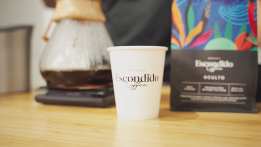 Chemex Brew with El Salvador Oculto