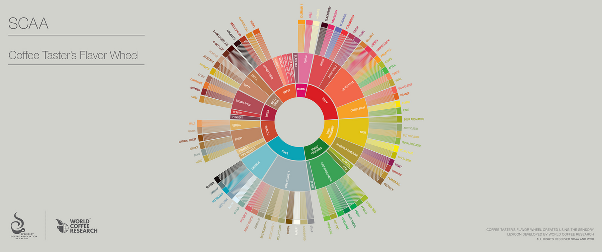 The Coffee Taster's Flavor Wheel: Exploring Coffee's Flavor Spectrum ...