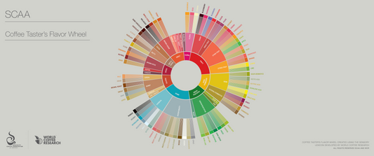 Unlocking the Fruity Spectrum: A Deep Dive into Coffee's Fruit Flavors via the SCA Flavor Wheel