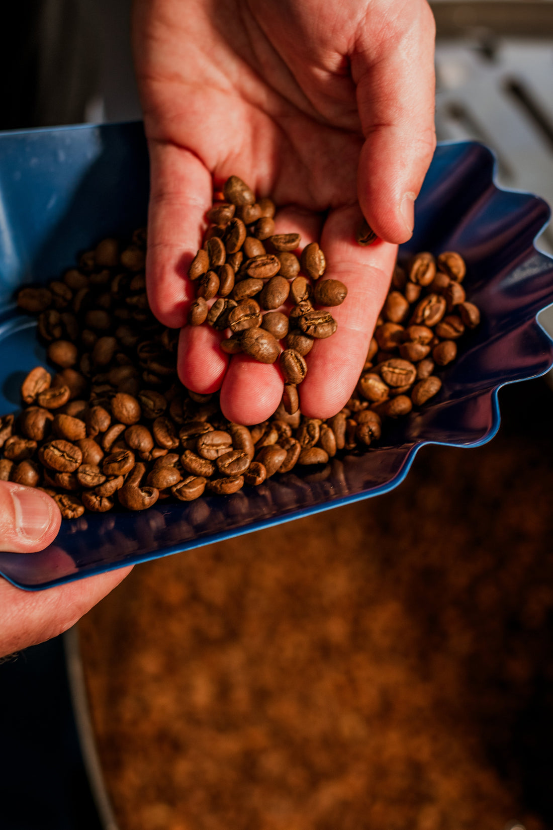 How Caffeine Affects Your Body: Why It’s Actually Good for You