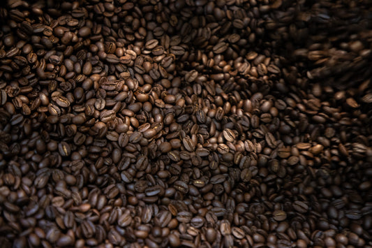 The Art of Coffee Extraction: An Introduction to Brewing Methods Around the World