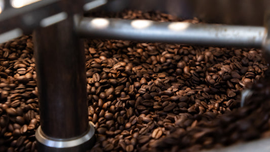 Savoring the Roasted Notes: Exploring “Roasted” Flavors on the SCA Flavor Wheel