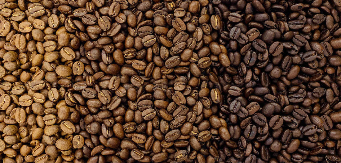The Difference Between Light, Medium, and Dark Roast Coffee