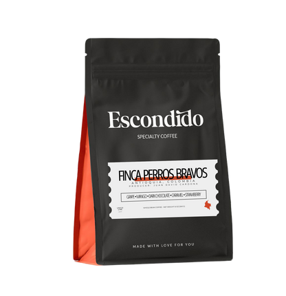 Colombia Antioquia Finca Perros Bravos