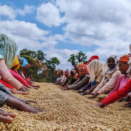 Ethiopia Yirgacheffe