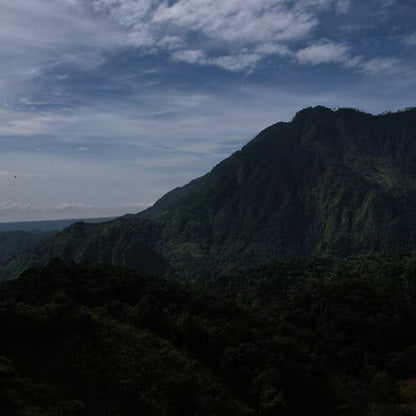 Decaf Mexico Veracruz