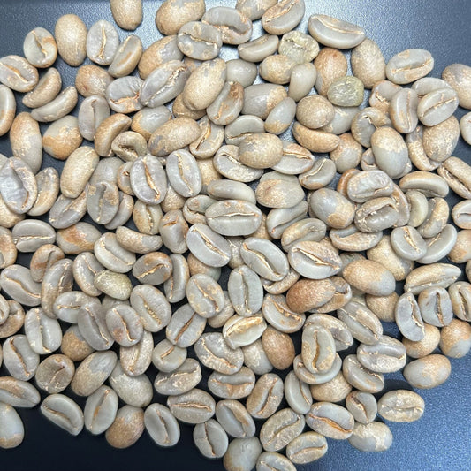Green Coffee - Finca San Jose, Ataco, El Salvador